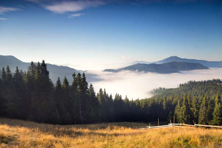 Summer sunrise landscape in Bucovina, Romaniaの写真素材