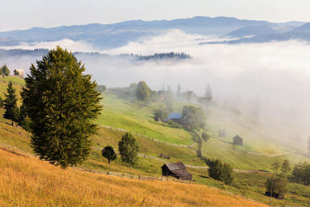 Summer sunrise landscape in Bucovina, Romaniaの写真素材