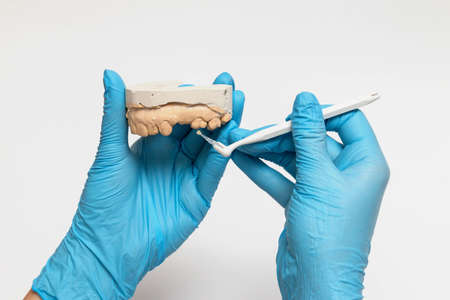 Dental instruments. Dentures and medical equipment on white backgroundの写真素材