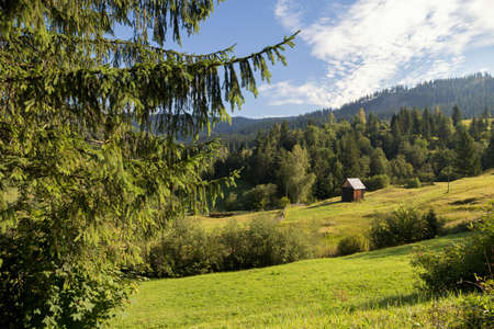Summer landscape in Bucovina, Romaniaの写真素材