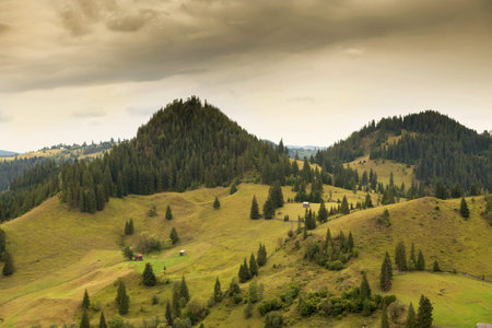 Summer landscape at  Moieciu - Bran, Romania