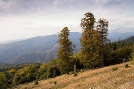 Autumn landscape in the Carpathian Mountains, at Bran - Romaniaの写真素材