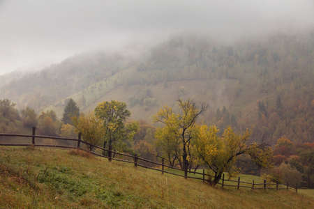 Autumn landscape in the Carpathian Mountains, at Bran - Romaniaの写真素材