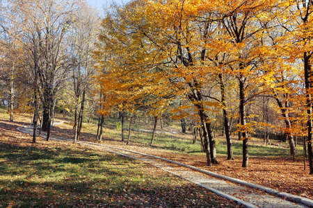 Autumn Landscape in the park from Craiova, Romaniaの写真素材