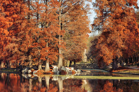 Autumn Landscape in the park from Craiova, Romaniaの写真素材