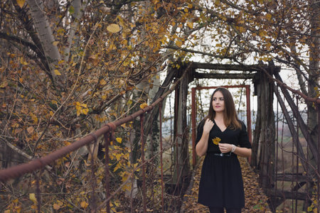 Autumn portrait of a young woman reading a book in the nature