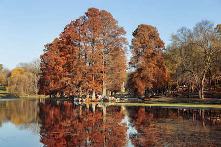Autumn Landscape in the park from Craiova, Romaniaの写真素材
