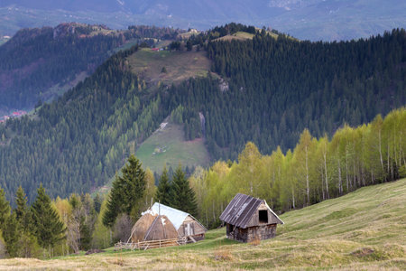 Spring landscape in the Carpathian Mountainsの写真素材