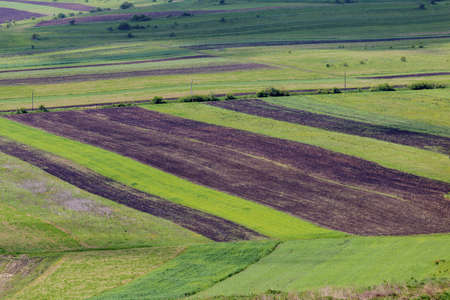 Spring fields in the transylvanian hills, Romaniaの写真素材