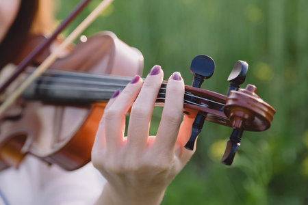 Young woman playing violin in a field at sunsetの写真素材