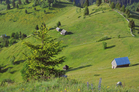 Summer landscape in the transylvanian hills, at Bran, Romaniaの写真素材