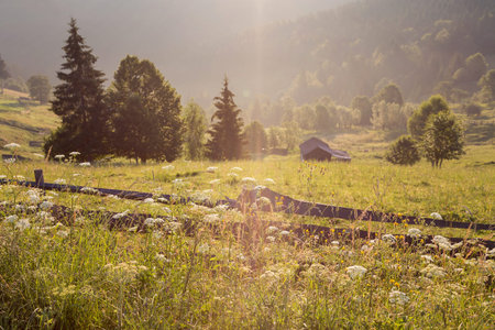 Summer sunrise landscape in Bucovina, Romaniaの写真素材