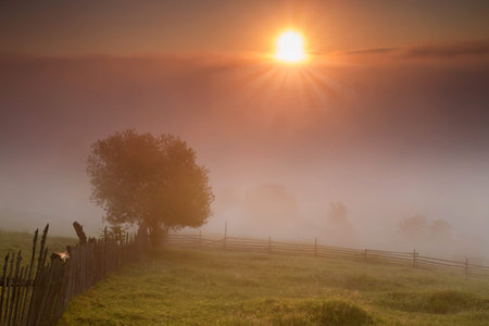 Summer sunrise landscape in Bucovina, Romaniaの写真素材