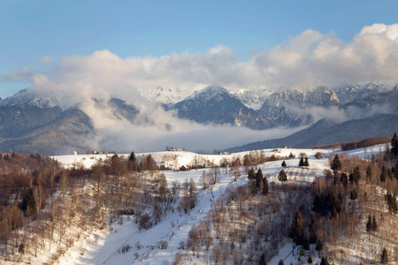 Winter landscape in Transylvania, Romania