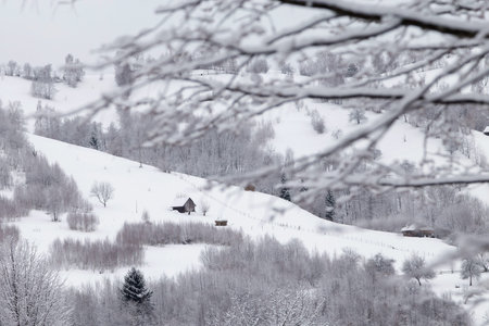 Winter landscape of the frosty forest, in Transylvaniaの写真素材