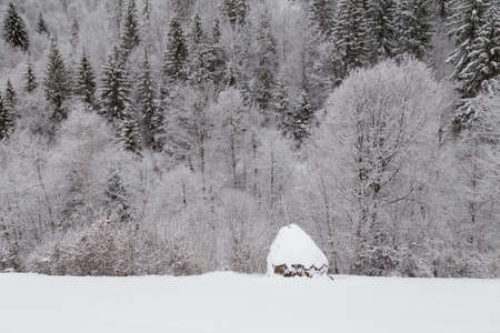 Winter landscape in Transylvania, Romaniaの写真素材