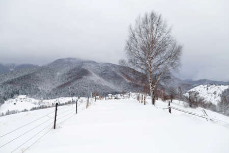 Winter landscape in Transylvania, Romaniaの写真素材