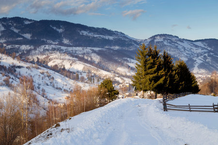 Winter landscape in Transylvania, Romaniaの写真素材