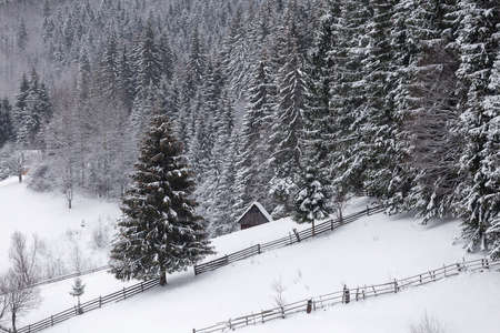 Winter landscape in Transylvania, Romaniaの写真素材