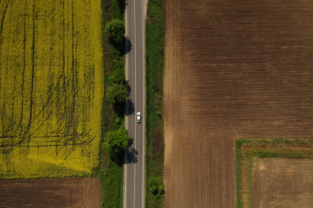 Autumn aerial view of mountain road at sunriseの写真素材