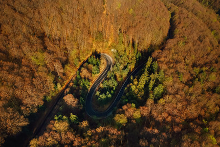 Autumn aerial view of mountain road at sunrise