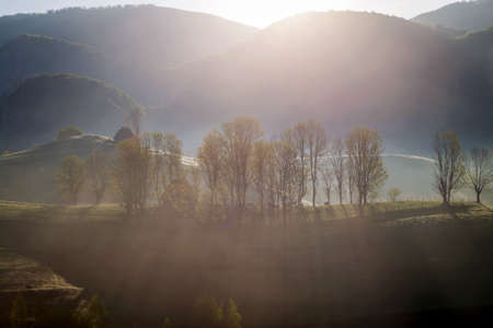 Spring foggy morning with trees on hills in Apuseni Mountains, Romaniaの写真素材