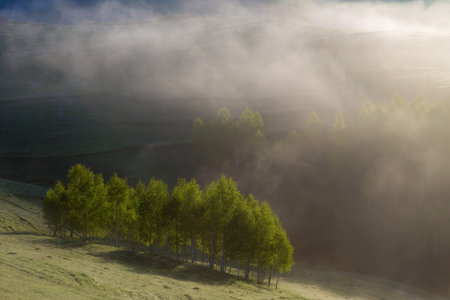 Spring foggy morning with trees on hills in Apuseni Mountains, Romania