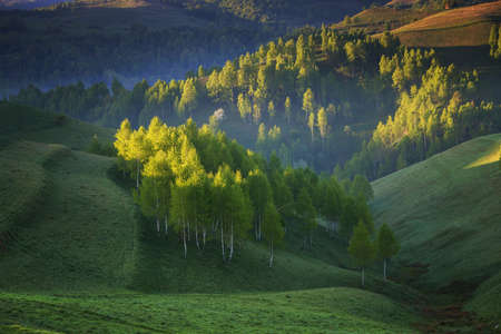 Beautiful summer sunrise in Transylvaniaの写真素材