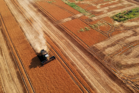 Summer view of combine harvester machine, in the romanian fields. Aerial view of harvesters