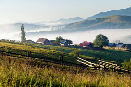 Summer sunrise in Bucovina, Romaniaの写真素材