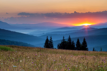 Summer sunrise in Bucovina, Romaniaの写真素材