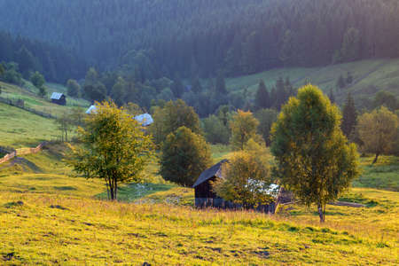 Summer sunrise in Bucovina, Romaniaの写真素材