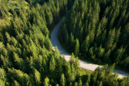 Aerial view of the mountain road, in Bucovinaの写真素材