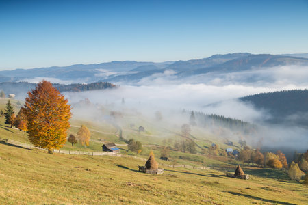 Foggy morning in Bucovina. Autumn colorful landscape in the romanian village