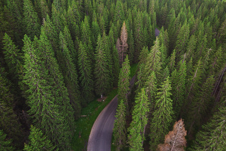 Aerial view of Transalpina mountain road, Romania