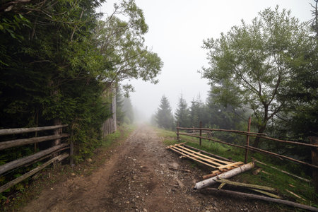 Summer foggy sunrise in the Carpathian hills