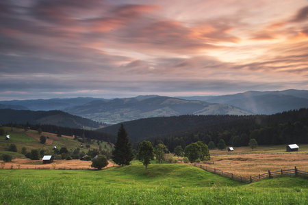Summer foggy sunrise in the Carpathian hills
