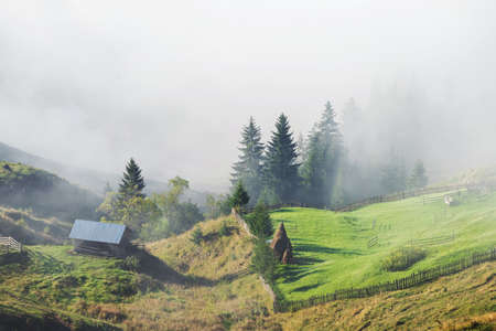 Summer sunrise near the forestの写真素材