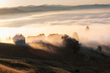 Summer landscape of the mountain village in Bucovinaの写真素材