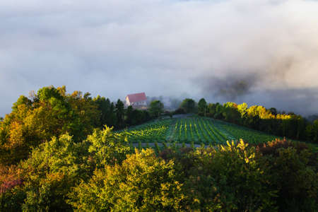 Foggy autumn morning on the beautiful green hills near Maribor, Slovenia. Scenic landscape and nature near Maribor in Slovenijaの写真素材