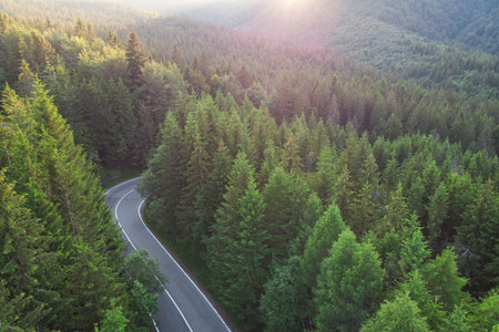 Aerial landscape of mountain winding road, in Transylvaniaの写真素材