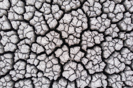 Crackled earth texture of dry lake