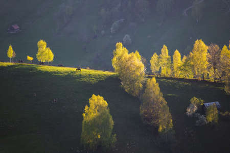 Rural mountain landscape with remote Romanian village uphill in the valleys of Carpathian mountains, in springtimeの写真素材
