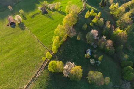 Aerial mountain landscape with remote Romanian village uphill in the valleys of Carpathian mountains. Rural scene in springtime with trees in bloomの写真素材