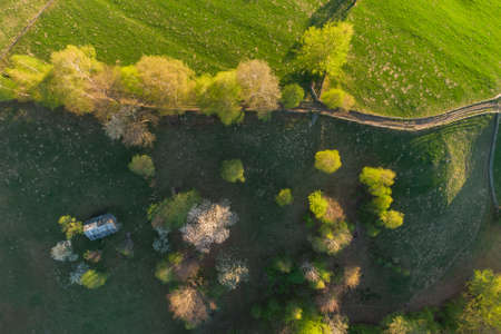 Aerial mountain landscape with remote Romanian village uphill in the valleys of Carpathian mountains. Rural scene in springtime with trees in bloomの写真素材