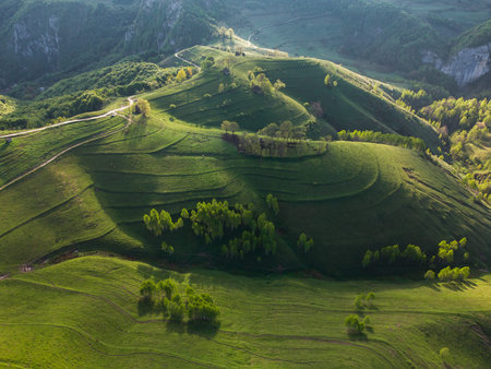 Mountain views with green hills, during spring. Aerial view of Dumesti village from Apuseni...
