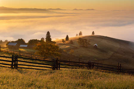 Mountain landscape with morning fog, at the forest edge, in Bukovina, Romaniaの写真素材