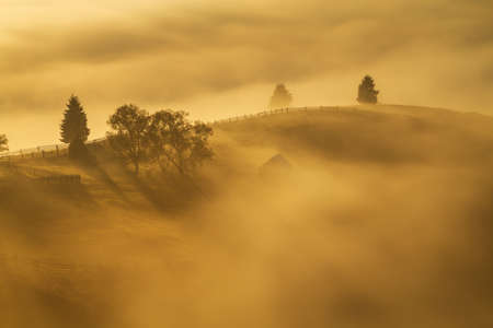 Mountain landscape with morning fog, at the forest edge, in Bukovina, Romaniaの写真素材