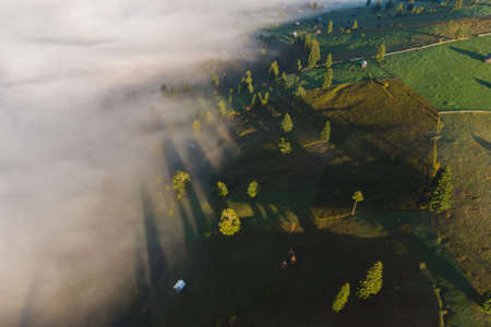 Aerial view of mountain landscape with morning fog, at the forest edge, in Romaniaの写真素材