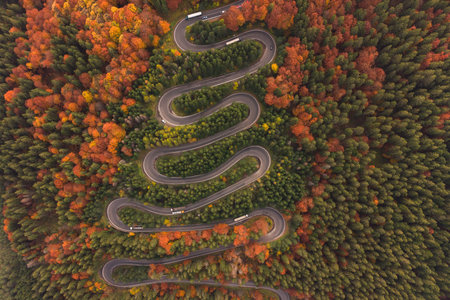 Aerial view of the mountain road in a beautiful pine and deciduous forest